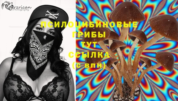 герыч Верея